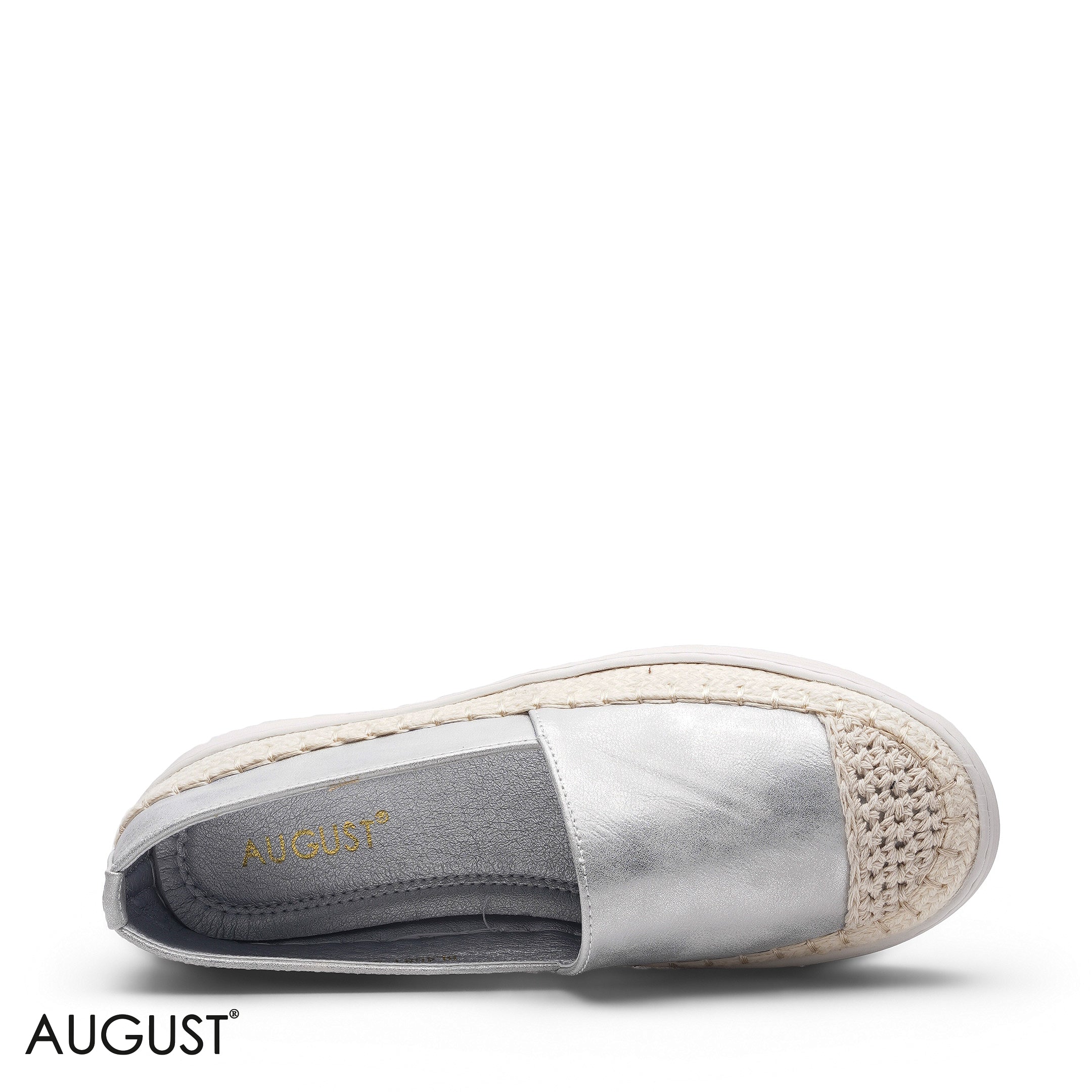 ELEGANT SILVER CLASSIC POINTED TOE FLAT